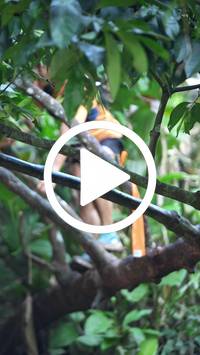 BIB:  <button type="button" onclick="openModal(27803039)" class="btn btn-primary btn-sm float-right" data-toggle="modal" data-target=".modal-high-quality">
                <i class="fa fa-download"></i> Download
                </button>